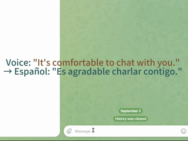 FewType speech translation to Spanish